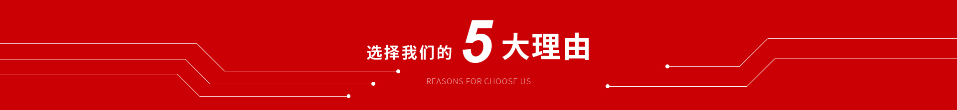 5大理由 5大理由