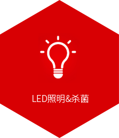 LED照明&杀菌